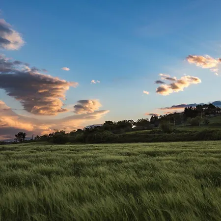 Maisonnette De Campagne Proche Du Du Salagou Brenas